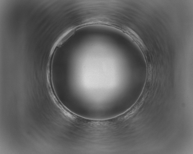 X0000076370812200610061057