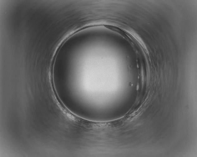 X0000076370813200610061057