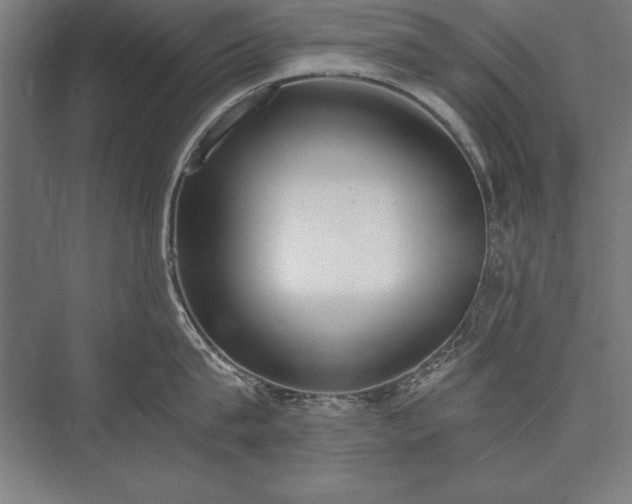 X0000076370815200610061057