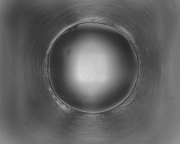 X0000076370816200610061057