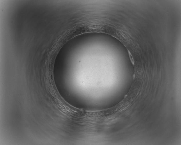 X0000076370817200610061056