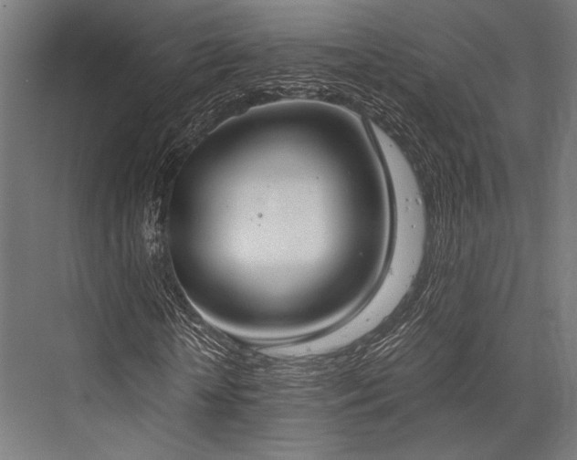 X0000076370818200610061056