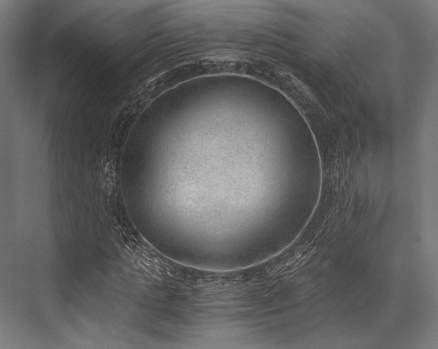 X0000076370821200610061056