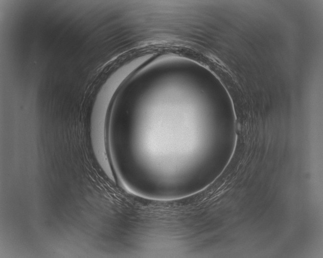 X0000076370822200610061056