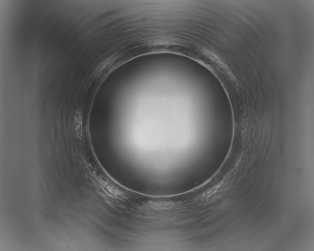 X0000076370825200610061056