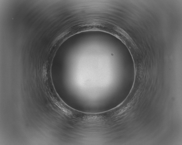 X0000076370826200610061056