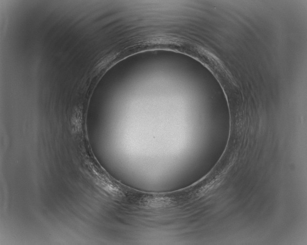 X0000076370833200610061056
