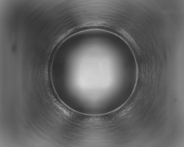 X0000076370834200610061056