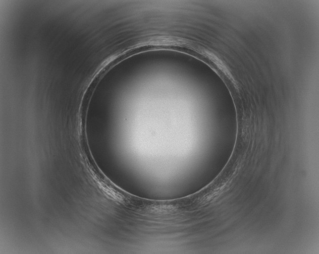 X0000076370837200610061056