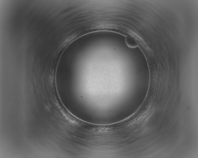 X0000076370841200610061056