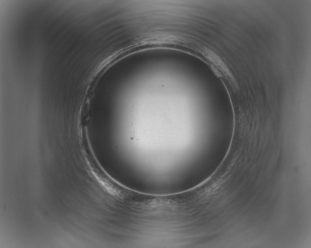 X0000076370842200610061056