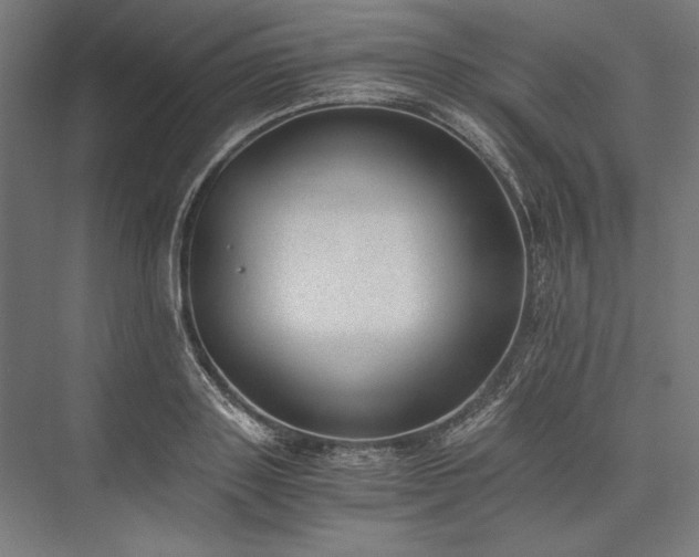X0000076370843200610061056