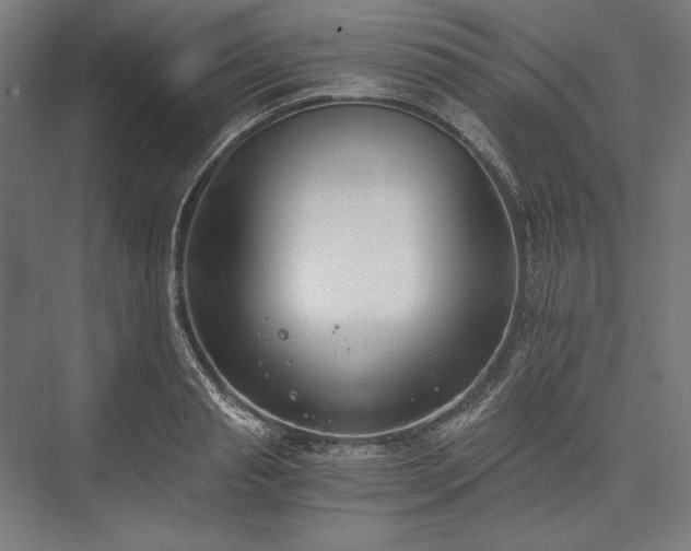 X0000076370845200610061056