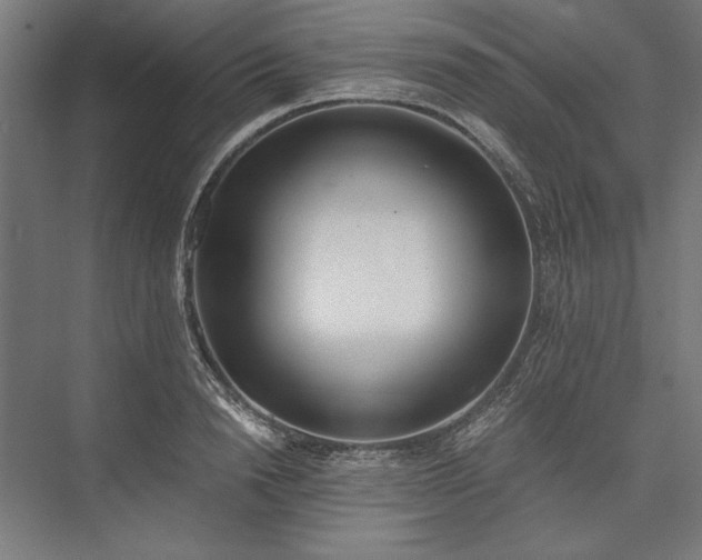 X0000076370846200610061056