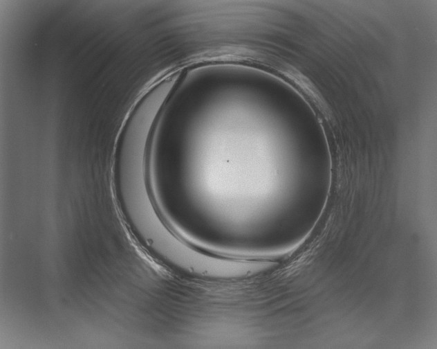 X0000076370850200610061056