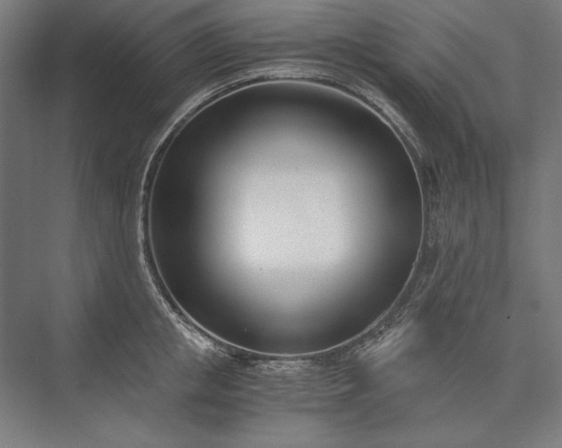 X0000076370853200610061056