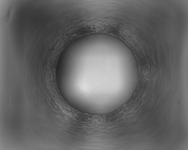 X0000076370865200610061056