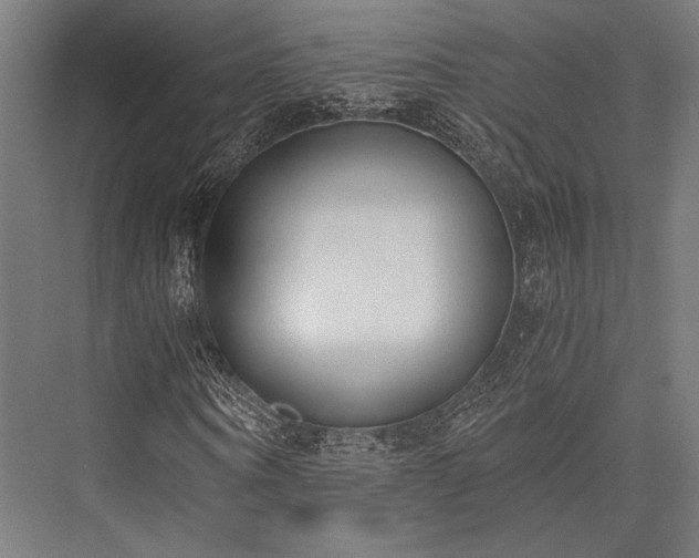 X0000076370866200610061056