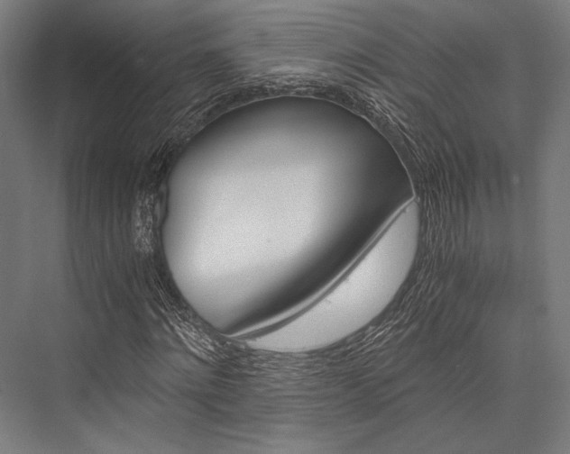 X0000076370868200610061056