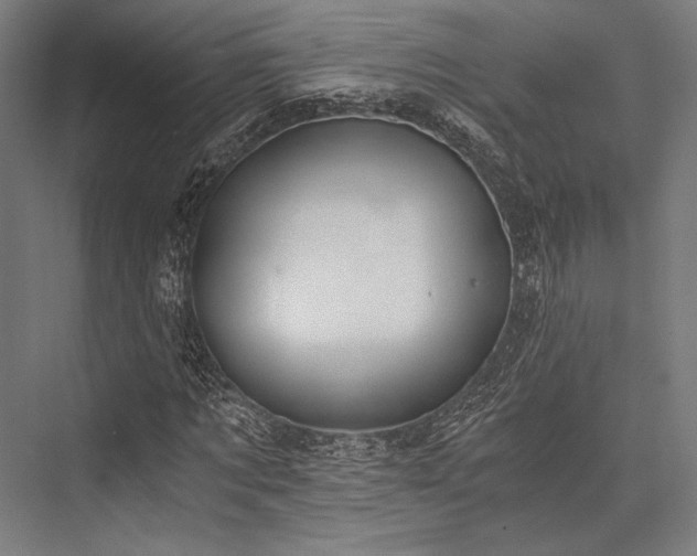 X0000076370869200610061056