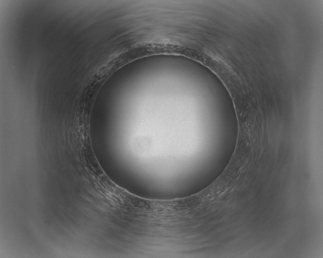 X0000076370870200610061056