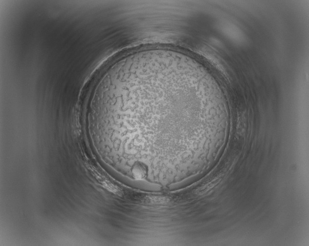 X0000076370878200610061056