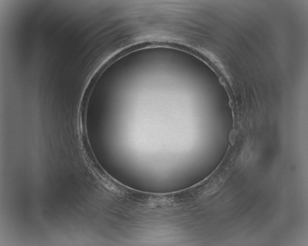 X0000076370887200610061055
