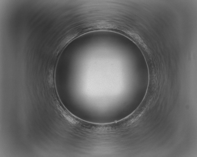 X0000076370889200610061055
