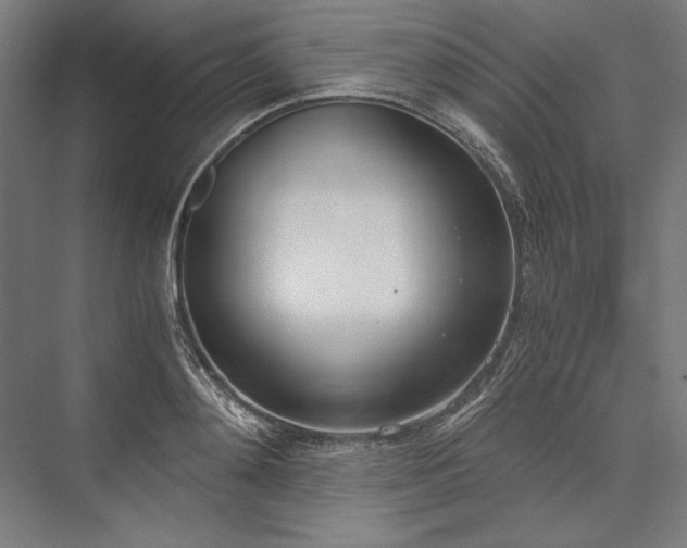 X0000076370892200610061055