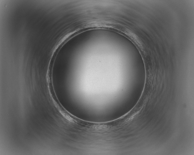 X0000076370893200610061055