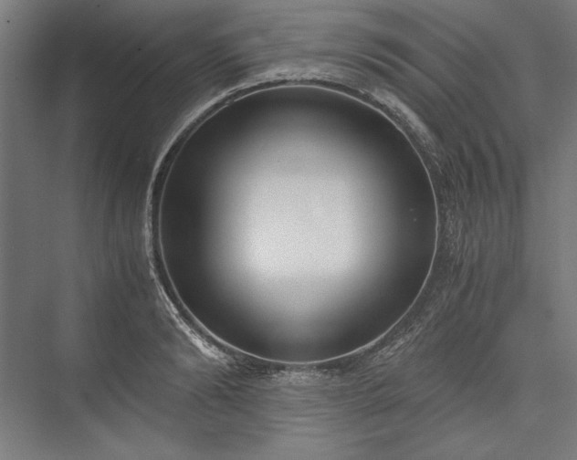 X0000076370894200610061055