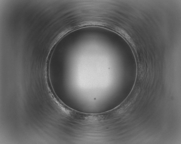X0000076370898200610061055