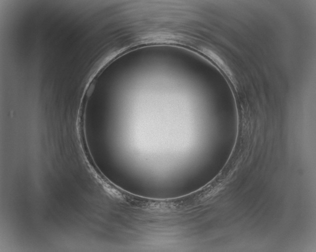 X0000076370901200610061055