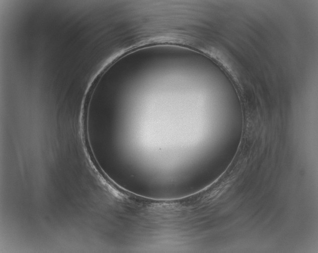 X0000076370902200610061055