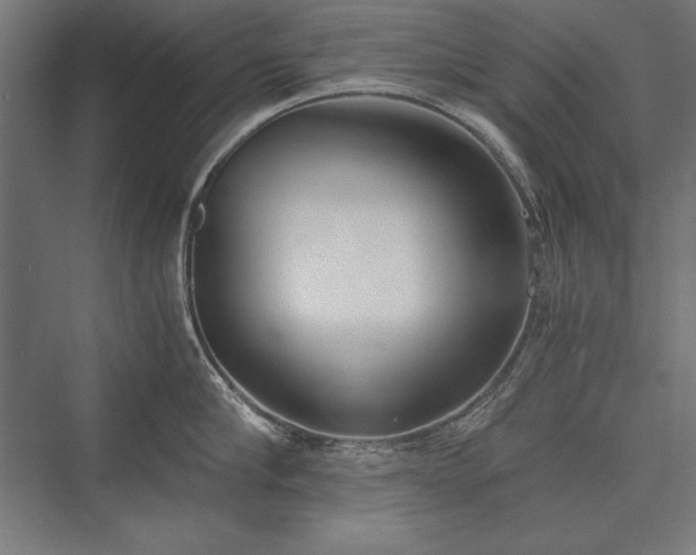 X0000076370910200610061055