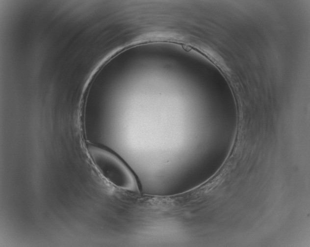 X0000076370912200610061055