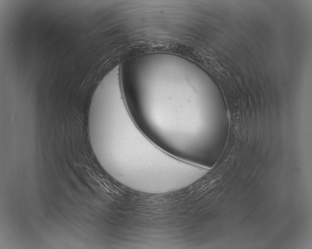 X0000076370916200610061054