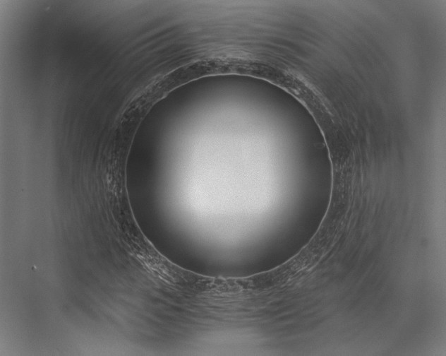 X0000076370919200610061054
