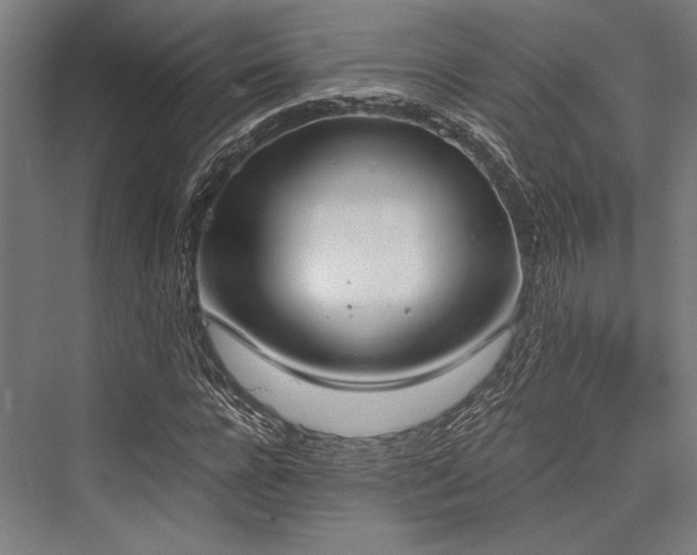 X0000076370920200610061054