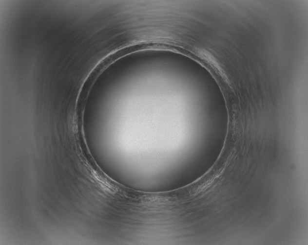 X0000076370924200610061054