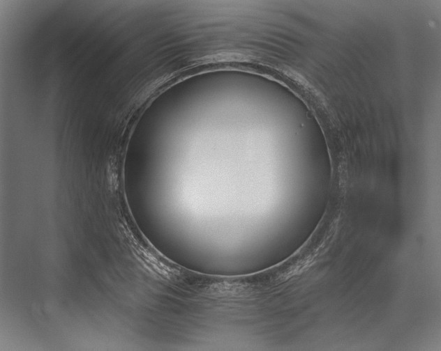X0000076370929200610061054