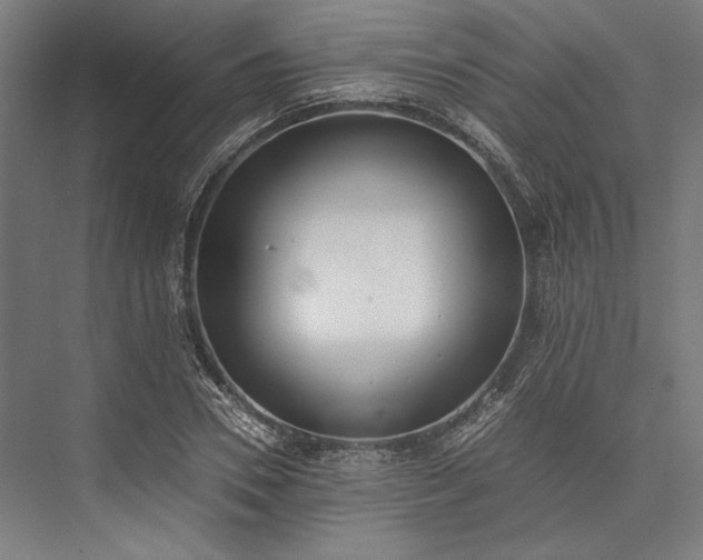 X0000076370930200610061054