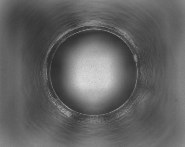 X0000076370931200610061054