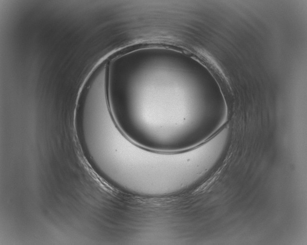X0000076370932200610061054
