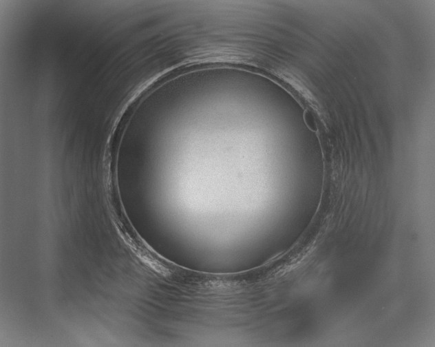 X0000076370933200610061054