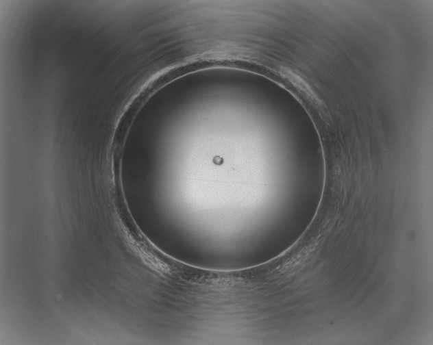 X0000076370934200610061054
