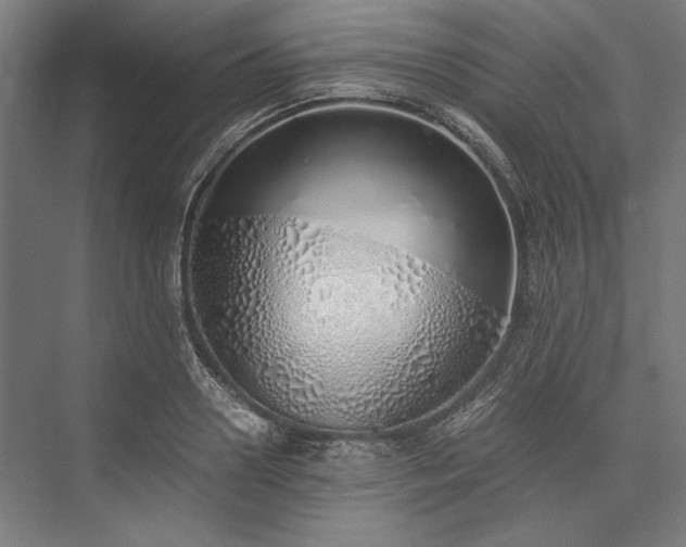X0000076370938200610061055