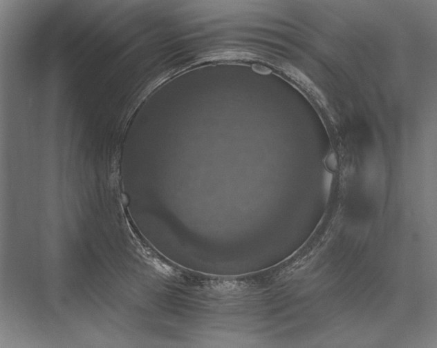 X0000076370945200610061055