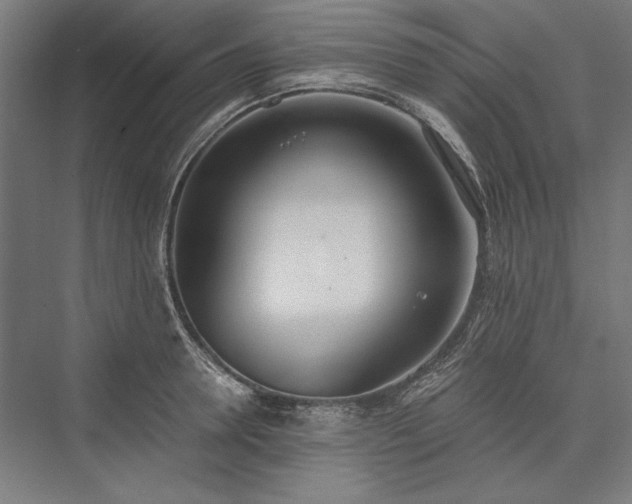X0000076370946200610061055