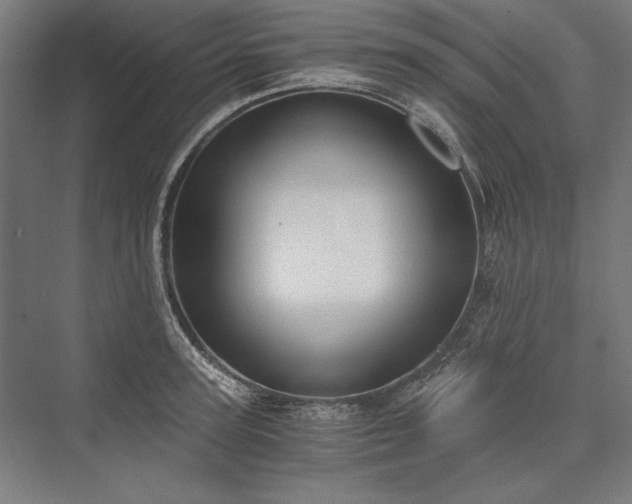 X0000076370947200610061055